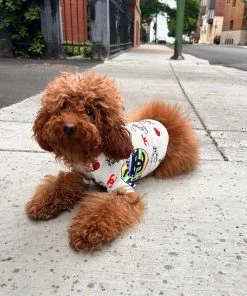 Lola + The Boys New Arrivals COCO Puppy Sweater