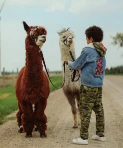 Lola + The Boys Denim Snake Sherpa Jacket