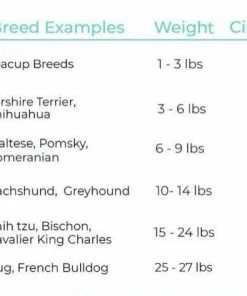 Lola + The Boys Puppy Pucci Jacket