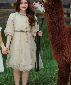 Lola + The Boys Girls Golden Star Party Dress