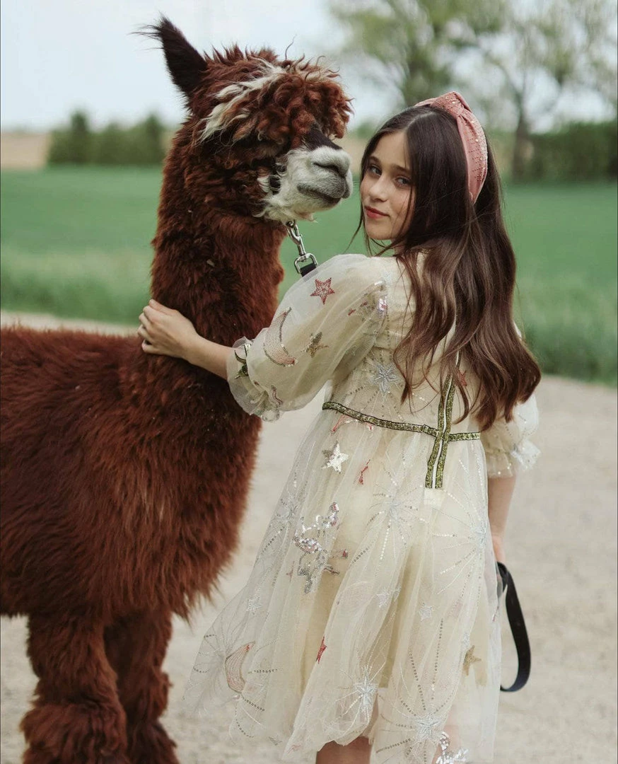 Lola + The Boys Girls Golden Star Party Dress