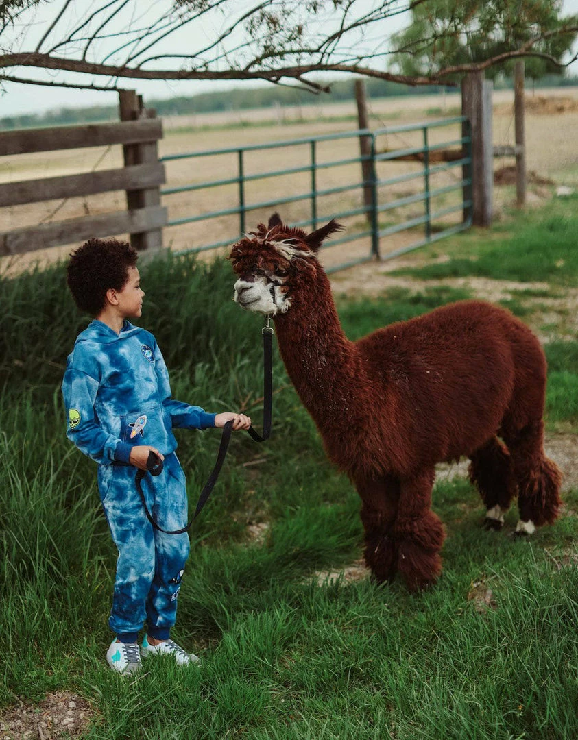 Lola + The Boys Deep In Space Set