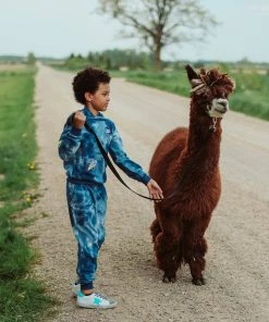 Lola + The Boys Deep In Space Set