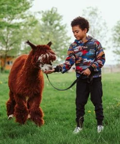 Lola + The Boys Camo